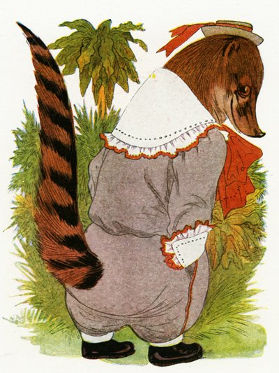 Coati, 1913 by Martin Ross